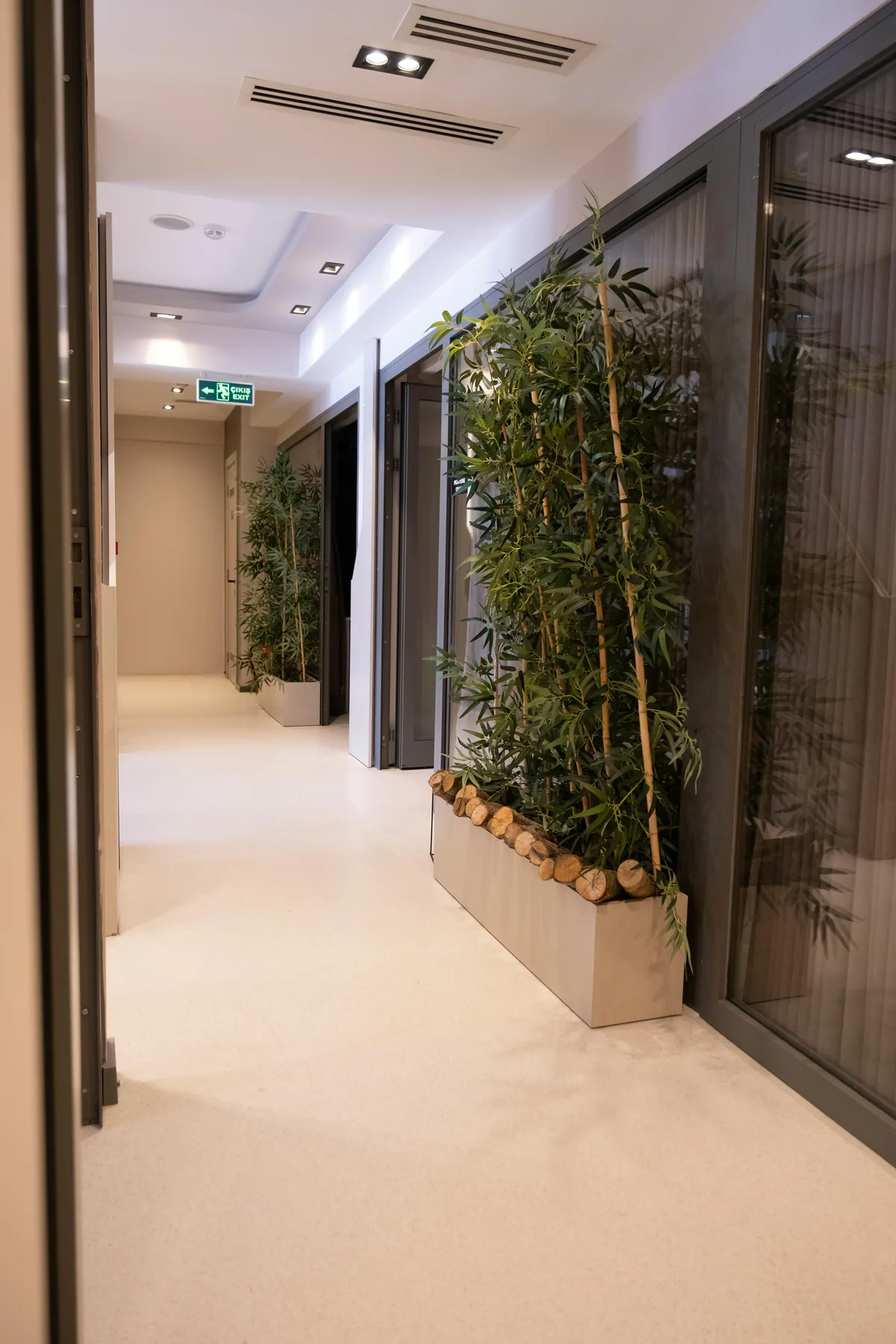 Clean modern corridor with plants and no people